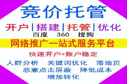 某电商平台信息流广告的精准推广策略